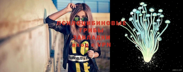 твердый Балахна