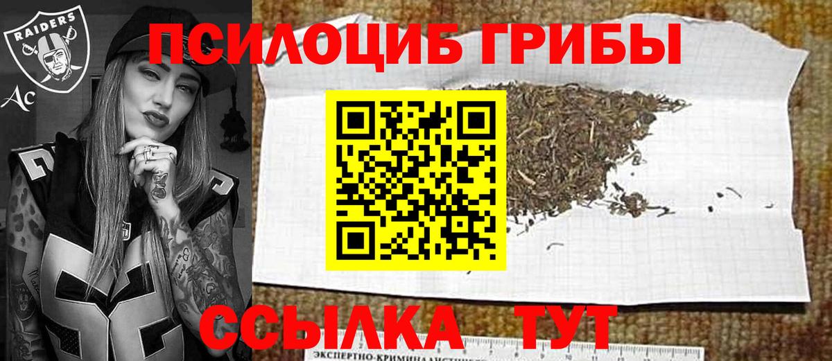 Псилоцибиновые грибы ЛСД Зима