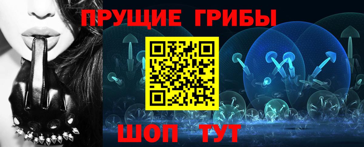 Зима  Псилоцибиновые грибы MAGIC MUSHROOMS  Вход с VPN 