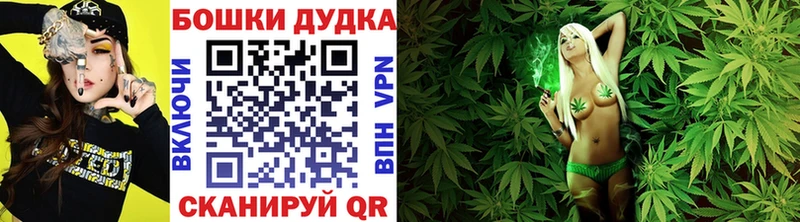 Бошки Шишки конопля блэк спрут как зайти Зима