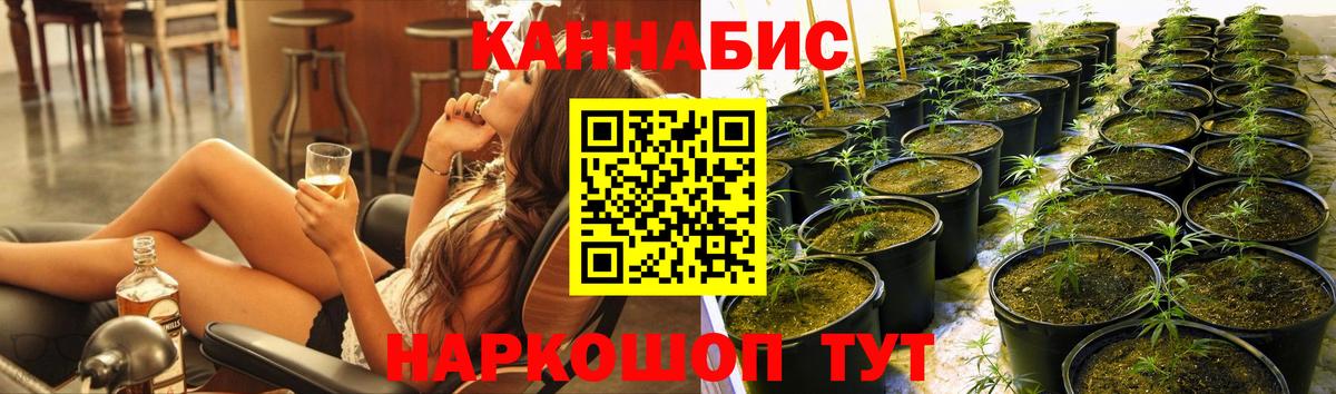 МАРИХУАНА OG Kush  Каннабис конопля  МАРИХУАНА MAZAR  Зима  Вход с VPN 